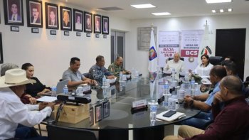Refuerzan control de ganado en accesos a Baja California Sur por gusano barrenador