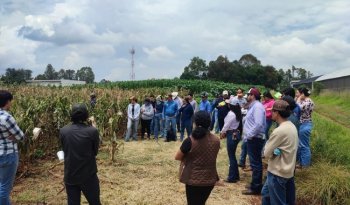 Futuros agrónomos de la UdeG reciben curso del INIFAP sobre manejo del maíz