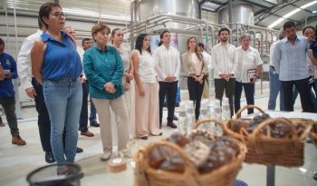 Semarnat y Yucatán acuerdan estrategias para aprovechar el sargazo y restaurar playas