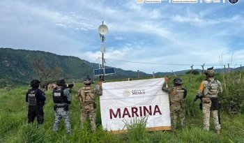 Marina y fuerzas de seguridad erradican 11 plantíos de marihuana en La Yesca, Nayarit