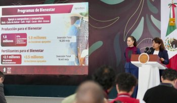 Producción de frijol supera meta del Plan México; maíz y leche también crecen