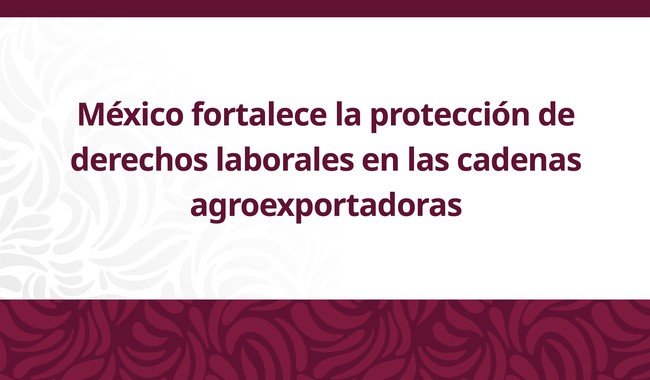 STPS presenta certificado laboral y plataforma VELAGRO para agroexportación