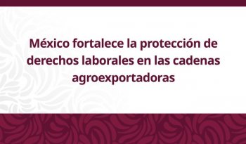 STPS presenta certificado laboral y plataforma VELAGRO para agroexportación
