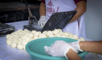 Tortillerías 'Maíz del Pueblo' operan en Veracruz con apoyo de 840 familias
