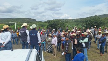 Entregan semilla de avena a 254 productores del semidesierto queretano