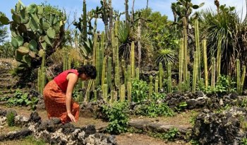 Seminario en el CENIDIM abordará la escucha y la corporalidad en la investigación