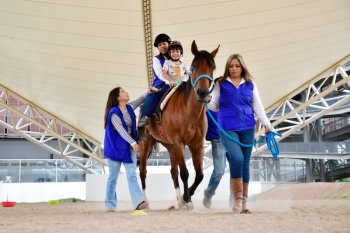 Tamarindo, el caballo de 18 años que da equinoterapia en el DIF Estatal de Aguascalientes