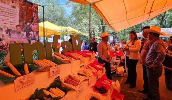 INIFAP exhibe en Expo Maíz 2026 la diversidad de las 59 razas de maíz nativo de México