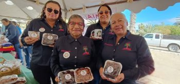 Mulegé prepara tercera edición del Festival del Dátil para el 19 de septiembre