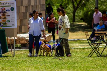 Adopta Fest 2026: segunda edición será en Ecoparque Metropolitano de Puebla