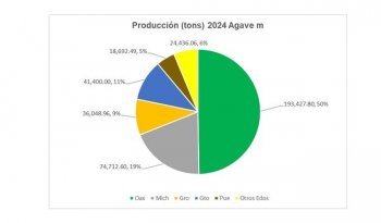 Oaxaca lidera producción de agave mezcalero con 11,775 hectáreas sembradas
