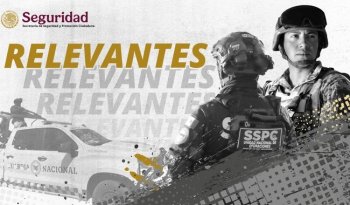 Gabinete de Seguridad reporta detenciones y aseguramientos en siete estados