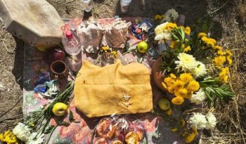 Partera de SLP encabeza proyecto de huertos medicinales con apoyo de PACMyC