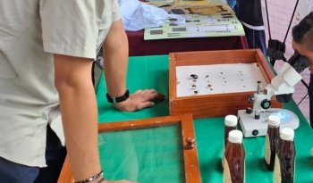 INIFAP participa en feria por el Día Nacional de la Abeja en Calakmul