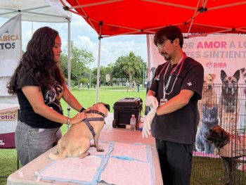 Adopta Fest en Puebla logra 18 adopciones y 73 vacunas antirrábicas