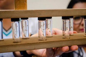 Guanajuato reduce 80% los casos de dengue en 2026 con nebulización y rociado