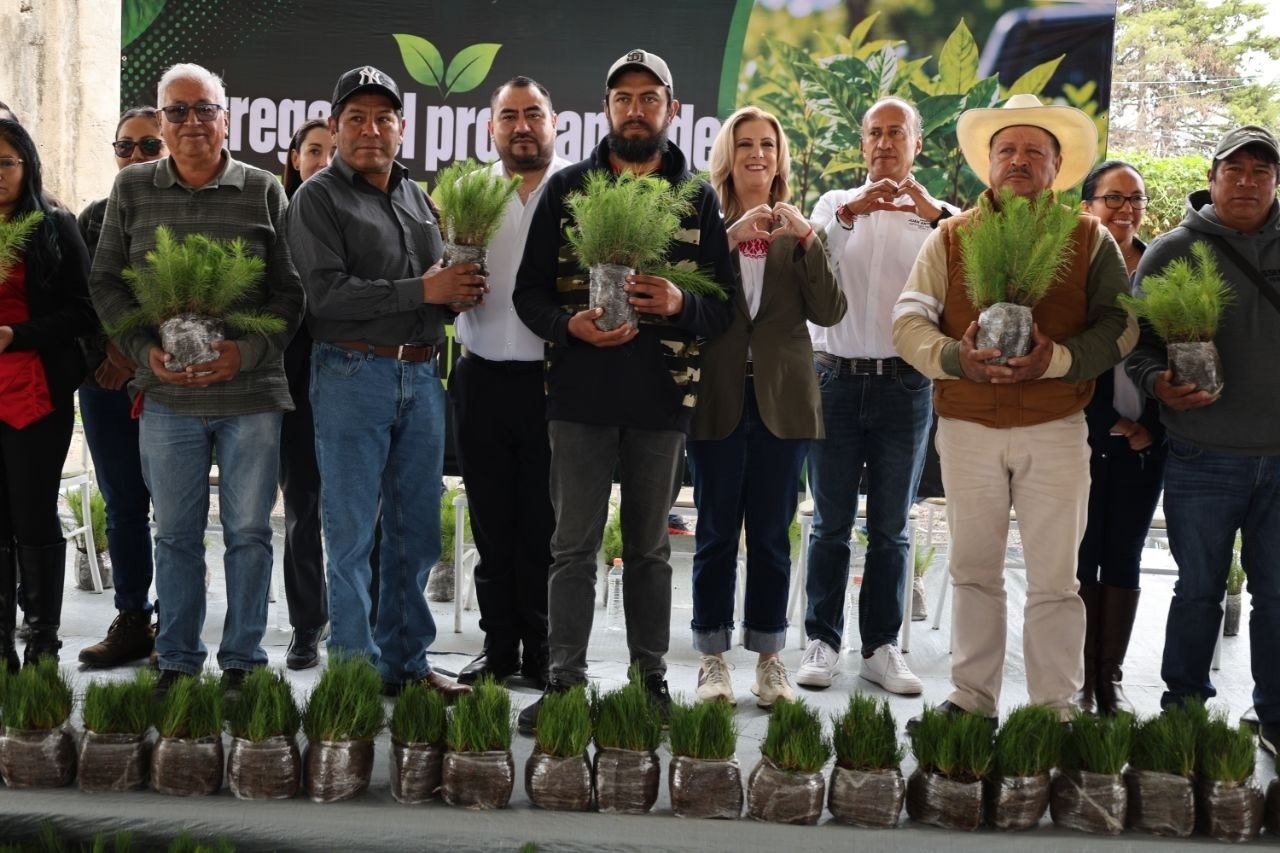 Entregan 274 mil plantas para reforestar la microrregión de Libres, Puebla