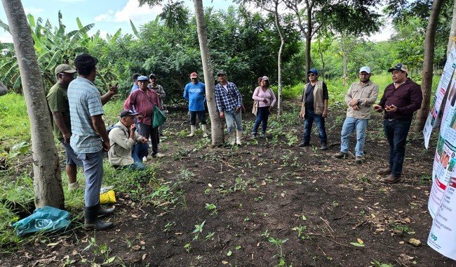 INIFAP capacita a productores de Campeche en manejo de suelos y maíces nativos