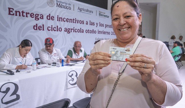 Agricultura dispersa 2,800 mdp a productores de maíz blanco en Sinaloa