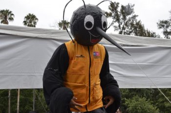Guanajuato retira 92 mil 783 toneladas de cacharros para frenar el dengue
