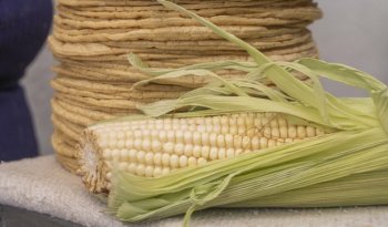 Agricultura descarta aumento al precio de la tortilla por ajuste del maíz