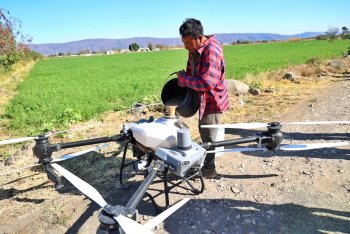 Drones agrícolas fumigan 20 hectáreas de amaranto en Atlixco