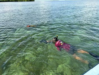 Registran larvas de sábalo y pargos en el Santuario del Manatí durante monitoreo ECOME-16
