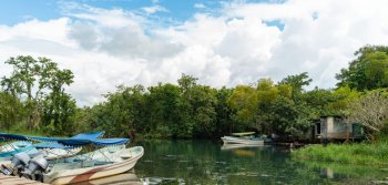 Veracruz impulsa cuatro experiencias turísticas comunitarias en Naolinco, Tequila