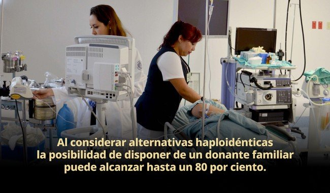 INCMNSZ eleva supervivencia a 5 años al 70% en pacientes trasplantados de médula ósea