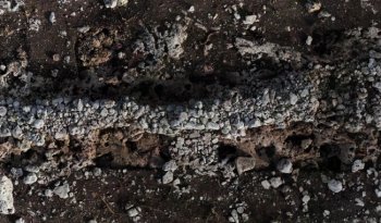 Hallan un meliponario prehispánico en Tulum durante obras del Tren Maya