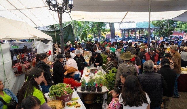 Sembrando Vida realizó 4 mil 520 tianguis campesinos de enero a junio de 2026