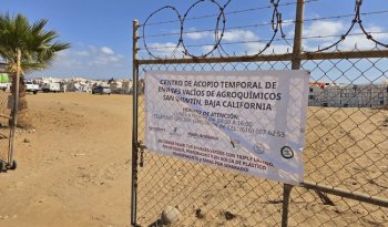 Recolectan 70 toneladas de envases vacíos de agroquímicos en San Quintín y Mexicali