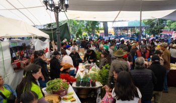 Sembrando Vida realizó 4 mil 520 tianguis campesinos de enero a junio de 2026