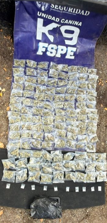 Detienen a un joven en León; aseguran mil 230 dosis de presunta droga en Parques de San Juan