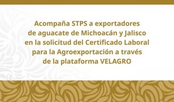 Exportadores de aguacate deberán tramitar el CLA desde el 1 de octubre de 2026