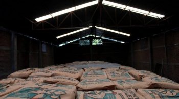Sader entrega 36 toneladas de cemento para infraestructura agrícola en El Limón, Los Reyes