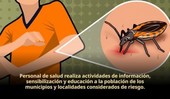 Salud refuerza estrategia contra el mal de Chagas con búsqueda de casos en embarazadas y menores