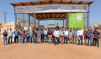 Semarnat recolecta 70 toneladas de envases vacíos de plaguicidas en Baja California