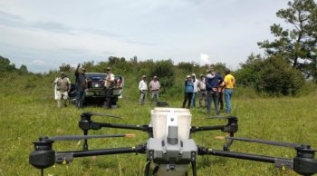 Cofom dispersa 660 mil semillas con drones para restaurar zonas forestales de Michoacán