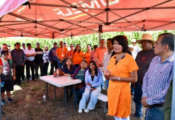 UTH cosecha 14 toneladas de maíz híbrido en ocho hectáreas de su campus en Huejotzingo