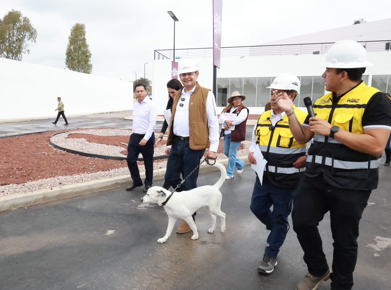 Célula de Bienestar Animal en Puebla registra 88% de avance y abrirá en tres semanas