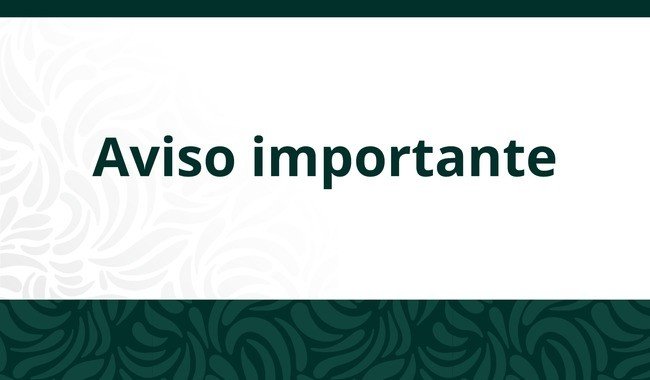 STPS no abrirá la Plataforma de Jóvenes Construyendo el Futuro en octubre