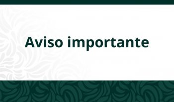 STPS no abrirá la Plataforma de Jóvenes Construyendo el Futuro en octubre