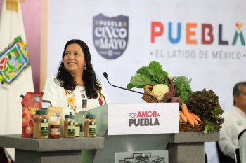 Puebla produce más de 1.3 millones de toneladas de hortalizas por 7,836 mdp