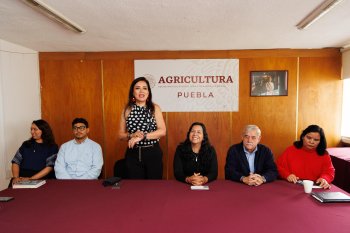Puebla y Federación coordinan acciones para elevar productividad de 144 cadenas agrícolas