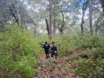 Policía Estatal, Ejército y Guardia Nacional buscan personas no localizadas en Ajuchitlán del Progreso