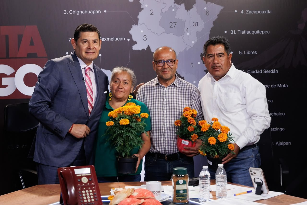 Producción de cempasúchil en maceta en Puebla crece de 5 mil a 2.5 millones de unidades