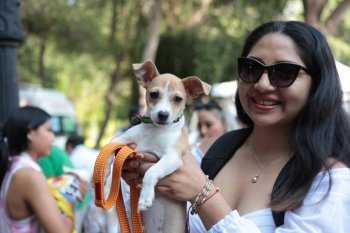 AMEQ anuncia segunda Jornada Petfriendly en Querétaro para registrar mascotas y acceder a Qrobus