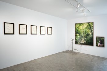 Alexandra Germán impartirá el taller Observar lo intangible en el Museo de Arte Moderno