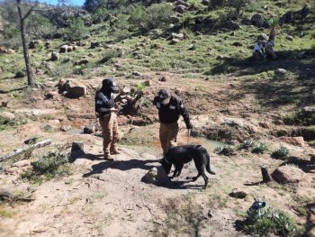 Gobierno de Zacatecas realiza búsqueda forense en la Sierra de Chapultepec, Fresnillo
